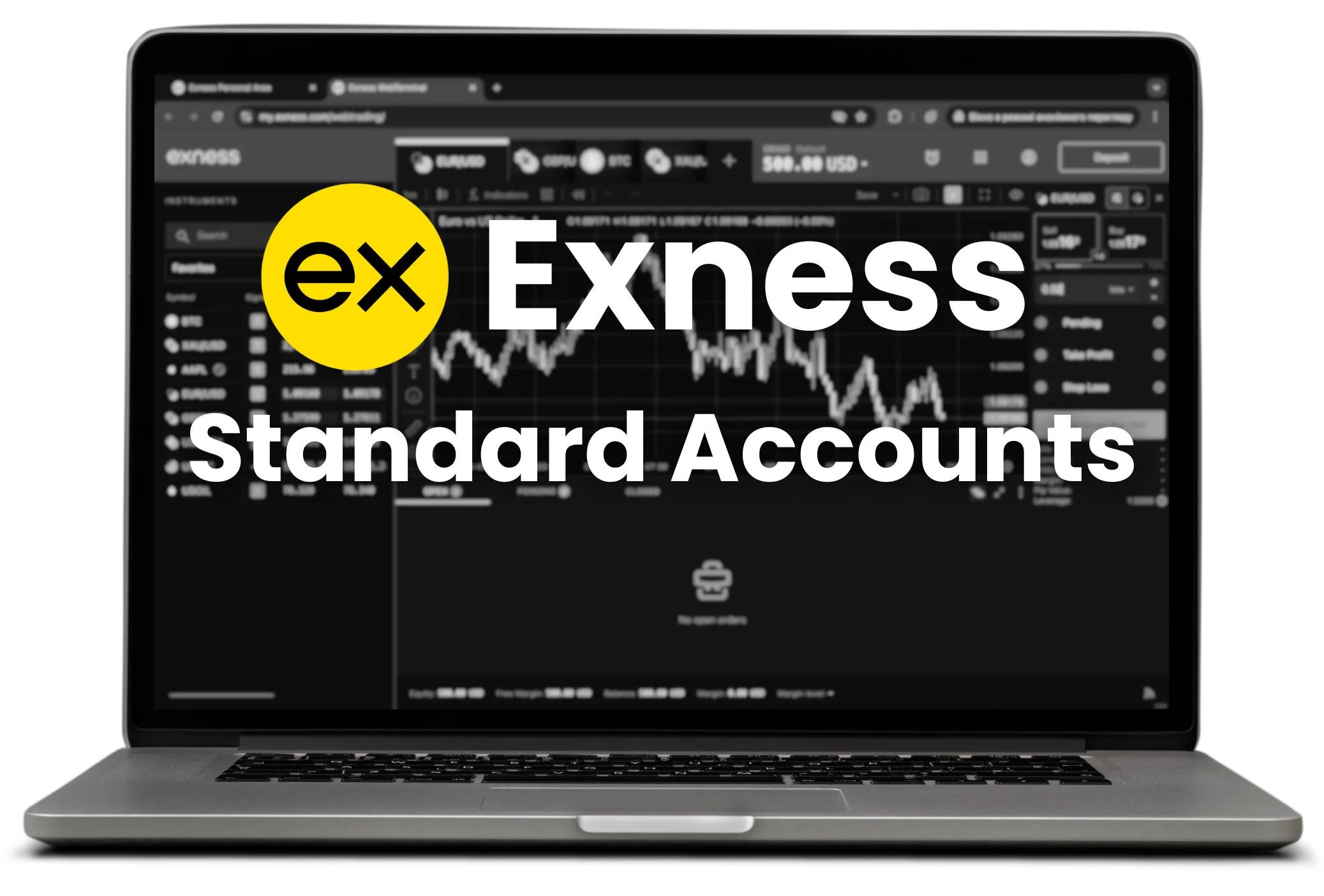 Exness Standard Accounts